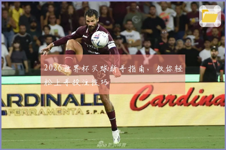 2026世界杯买球新手指南，教你轻松上手投注技巧