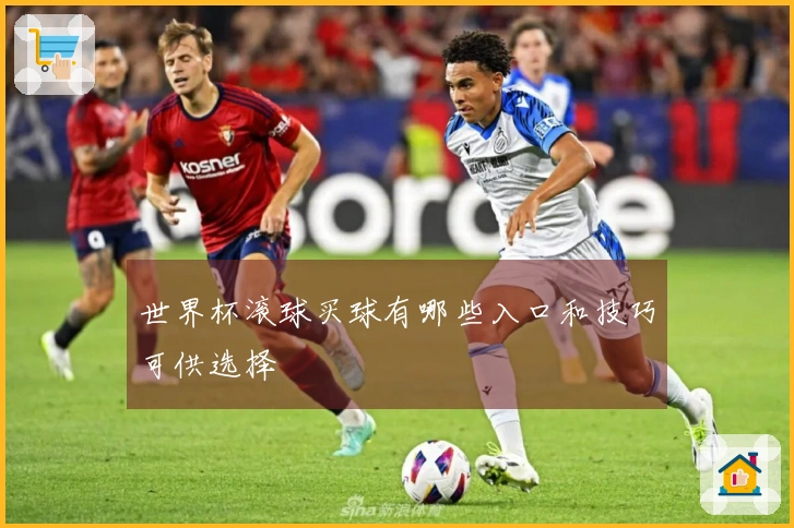 世界杯滚球买球有哪些入口和技巧可供选择