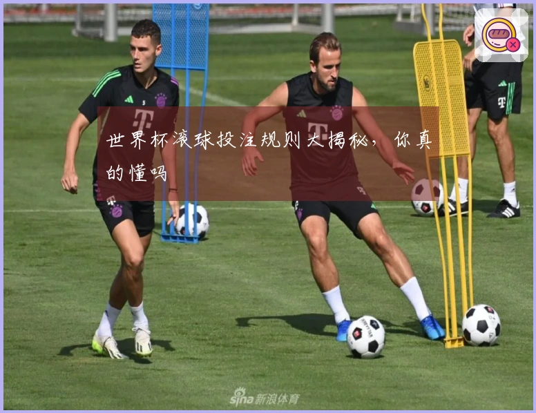 世界杯滚球投注规则大揭秘，你真的懂吗