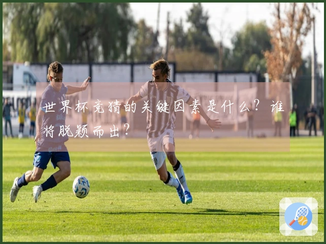 世界杯竞猜的关键因素是什么？谁将脱颖而出？