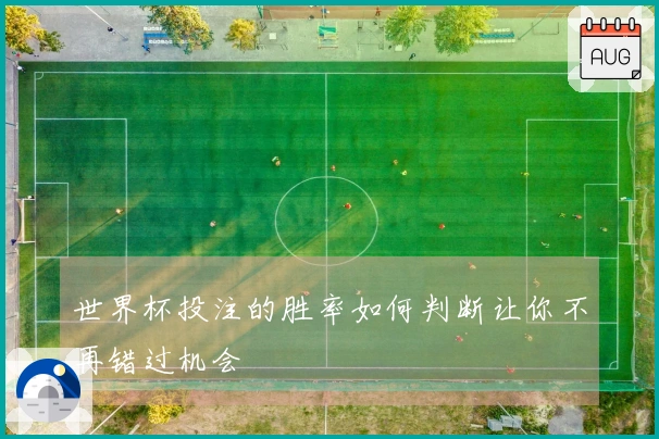 世界杯投注的胜率如何判断让你不再错过机会