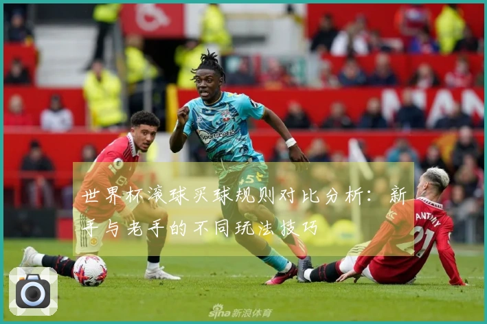 世界杯滚球买球规则对比分析：新手与老手的不同玩法技巧