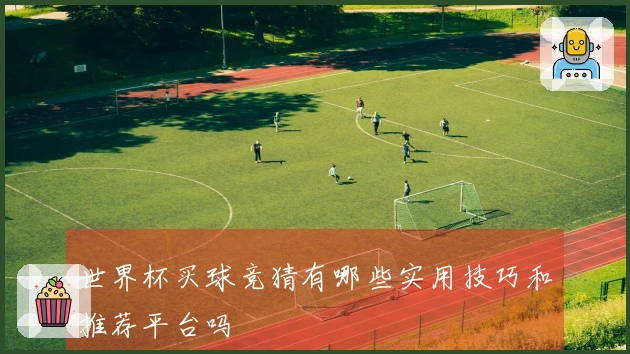 世界杯买球竞猜有哪些实用技巧和推荐平台吗