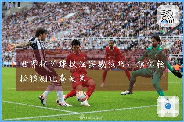 世界杯买球投注实战技巧，助你轻松预测比赛结果