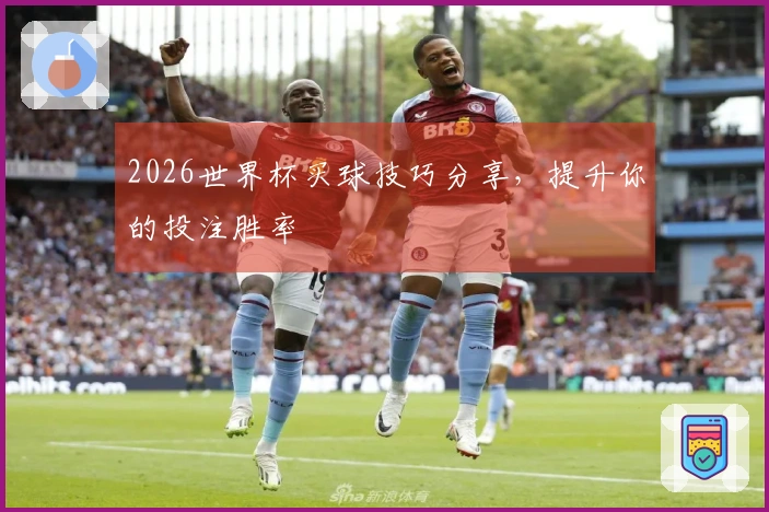 2026世界杯买球技巧分享，提升你的投注胜率