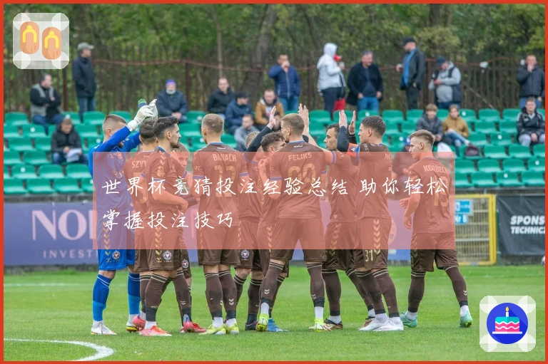 世界杯竞猜投注经验总结 助你轻松掌握投注技巧