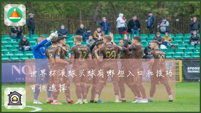 世界杯滚球买球有哪些入口和技巧可供选择