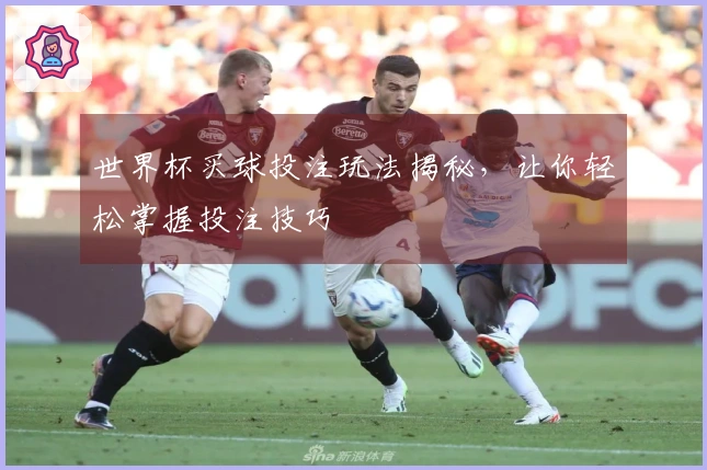 世界杯买球投注玩法揭秘，让你轻松掌握投注技巧