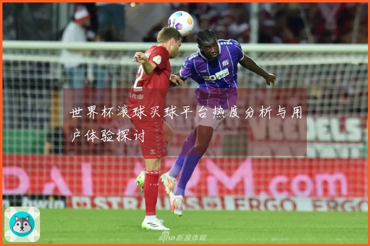 世界杯滚球买球平台热度分析与用户体验探讨