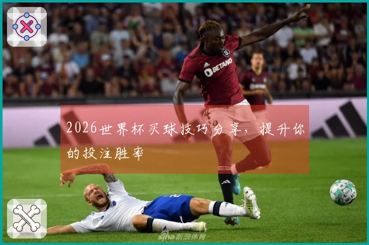2026世界杯买球技巧分享，提升你的投注胜率