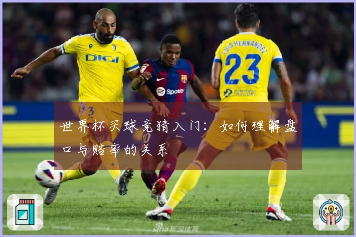 世界杯买球竞猜入门：如何理解盘口与赔率的关系