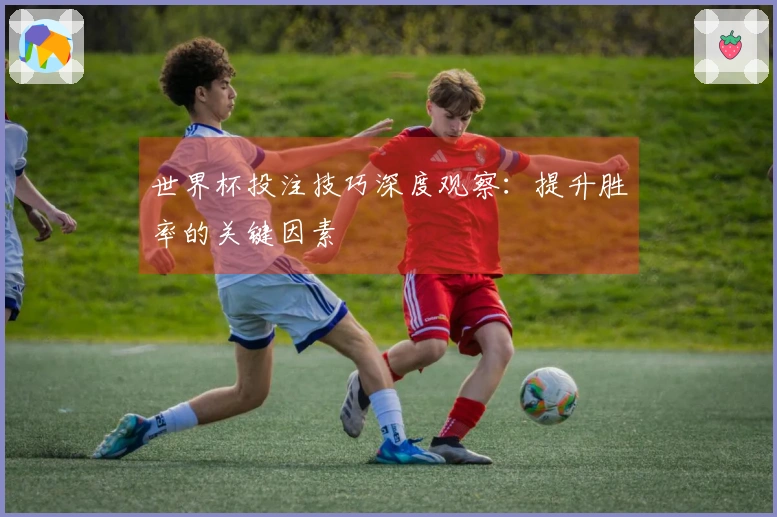 世界杯投注技巧深度观察：提升胜率的关键因素