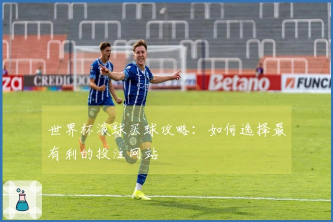 世界杯滚球买球攻略：如何选择最有利的投注网站