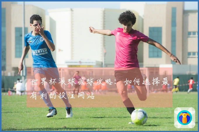 世界杯滚球买球攻略：如何选择最有利的投注网站