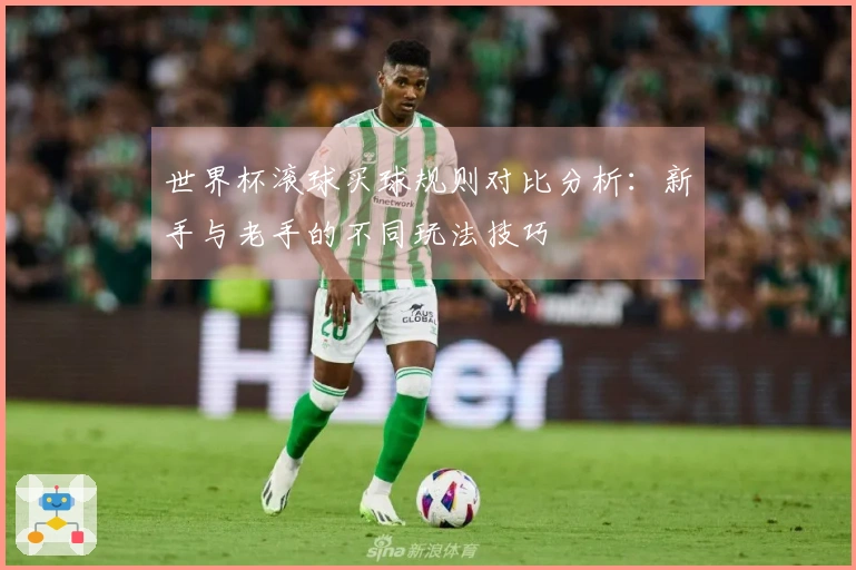 世界杯滚球买球规则对比分析：新手与老手的不同玩法技巧