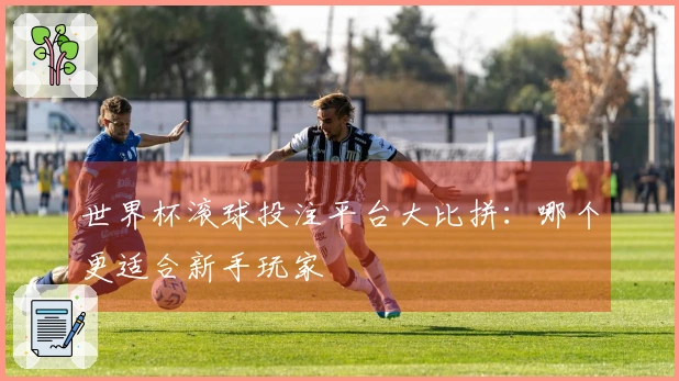 世界杯滚球投注平台大比拼：哪个更适合新手玩家