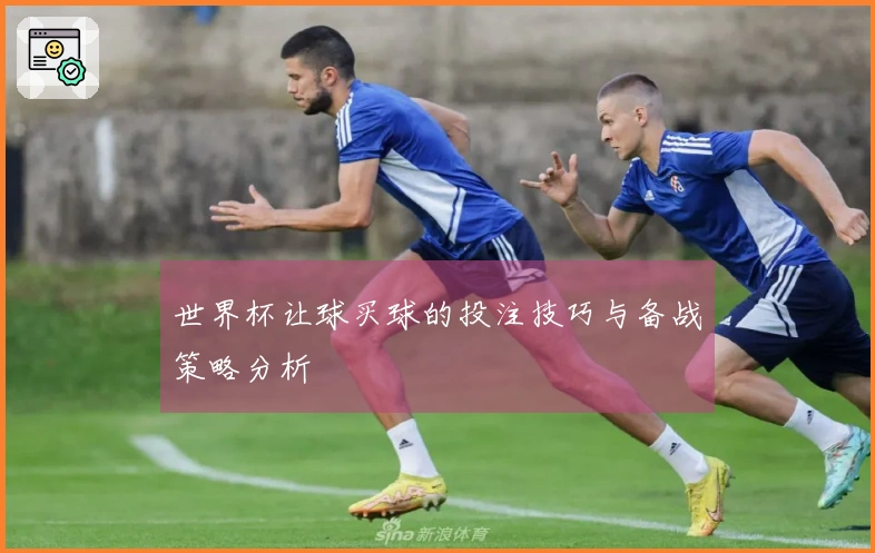 世界杯让球买球的投注技巧与备战策略分析